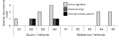 Figure 2. Abundance index for the common eastern froglet Criniasignifera, the eastern brown tree frog Litoria ewingii and the spottedmarsh frog Limnodynastes peronii at quarry and reference wetlands.Abundance was estimated by categorising advertisement cal