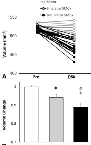 FIG 2. No focal hemorrhage or contusion on conventional MR imaging after experimental CHI.T2-weighted imaging and susceptibility-weighted imaging with in-plane resolution of 78 �mobtained at 7T on day 1 and day 50 after single (A) and double (B) CHI show n