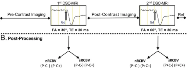 FIG 1. Acquisition protocol with postprocessing options. A, After precontrast standard imaging isperformed, a standard dose of gadolinium contrast (0.1 mmol/kg) is administered during whichDSC-MR imaging data are collected using gradient recalled-echo–EPI 