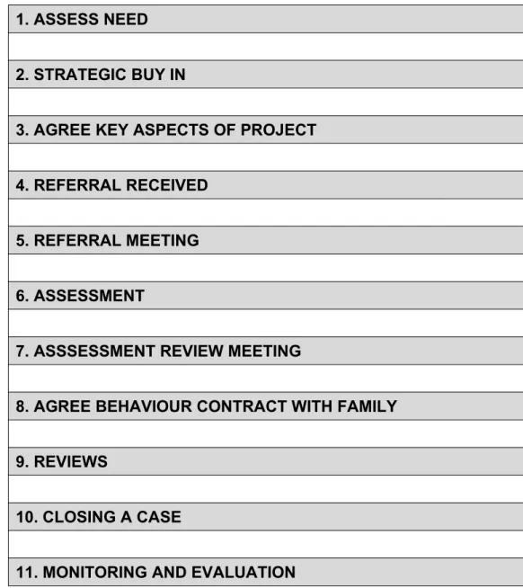 Figure 1. Establishing and running a Family Intervention Project.