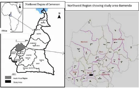 Figure. 1. Cameroon Map showing the study area, Bamenda. Source: North West Regional master plan for sustainable development 2001[19] 