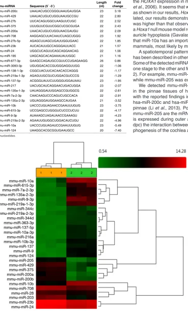 Fig. 2. Heat map of miRNA expression at 14.5 dpc, showing differentially ex-pressed miRNAs between pinnae and back skin tissues