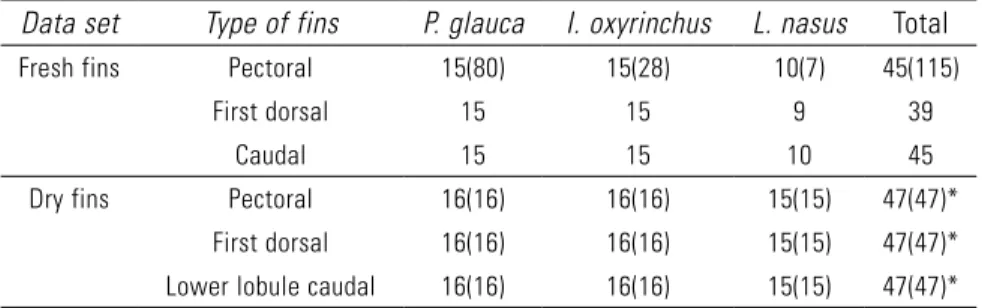 Table 1.  Sample size of fresh and dry fins of the right pectoral, first dorsal and caudal, or lower lobule of caudal fins, of Prionace glauca,  Isurus oxyrinchus and Lamna nasus