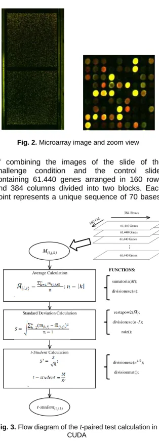Fig.  3  shows  a  flowchart  of  operations  and  functions in CUDA to perform the t-paired test, as  defined in Equation 2