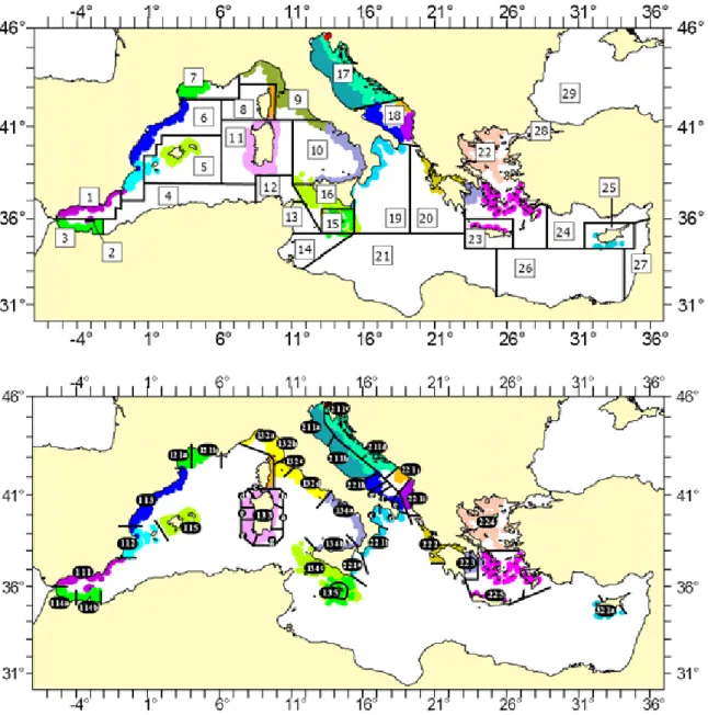 Fig. 1. General map of the area covered by the programme. Top: the GFCM GSAs, Down: the  MEDITS strata