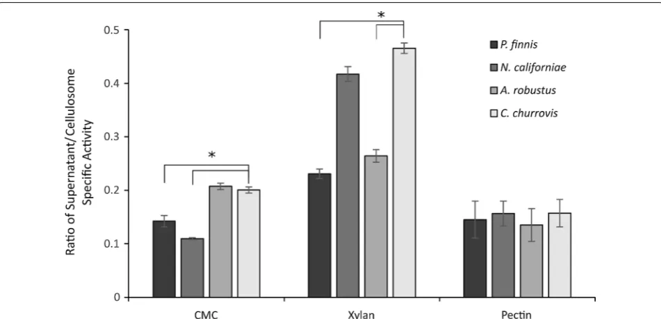 Fig. 4 C. churrovis supernatant possesses higher relative activity than cellulose precipitated cellulosome compared to other fungi