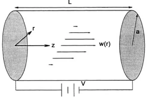 Figure 1. “Ion-drag” flow in a circular cylindrical conduit.  