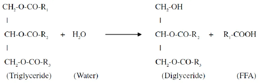 Figure 2.3: Hydrolysis Process of Triglyceride to Diglyceride 