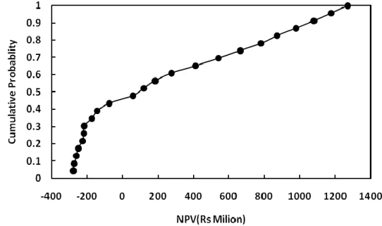 Figure 1: NPV Distribution Graph 