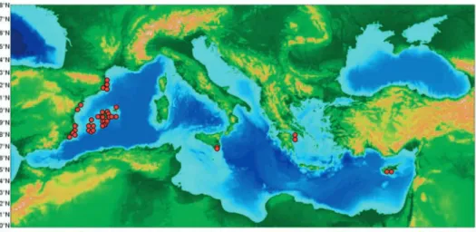 Figure 2.1: Distribution of Mediterranean P. oceanica meadows whose demographic status has been evaluated over the past seven years