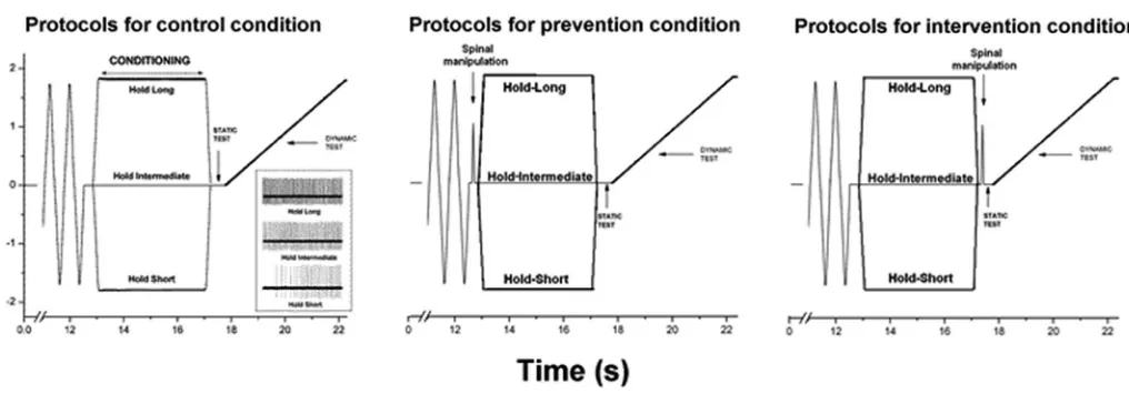 Figure 1. Schematic of the experimental protocol during 3 spinal manipulation conditions and a representative response (inset 