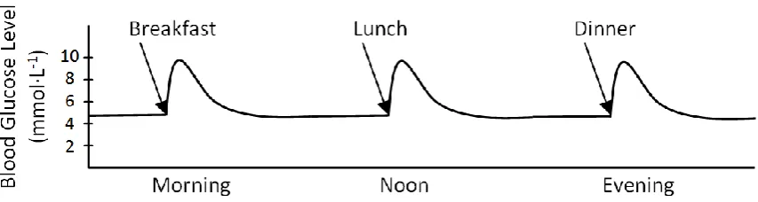 Figure 1.1: Schematic illustration of the effect of blood glucose level after meal. 