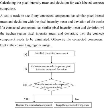 Figure 4.12 shows trachea regions are removed by the trachea elimination 