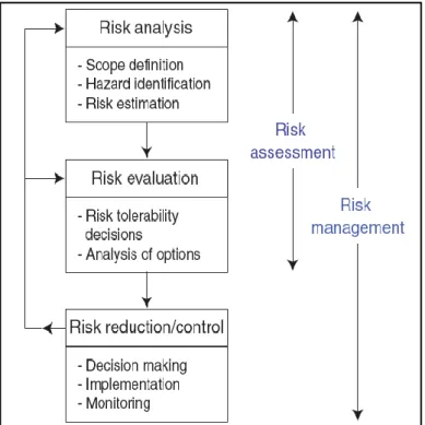 Figure 2-1 Risk management (Rausand et al., 2004) 