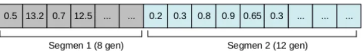Figure 4: Illustration of Chromosomes with Two Inputs Parameter