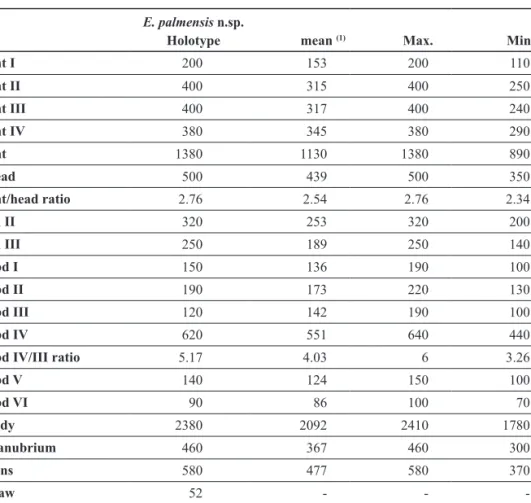 Tab. 1  Measurements of the new species (in micrometers), average from 7 specimens (1) 