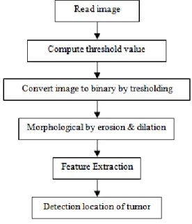 Figure 1  Detection of tumor workflow 