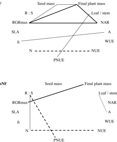 Fig. 4. Correlograms among morphological and physiologicaltraits of fixing (NF) and non-fixing (nNF) species of Solid llines indicate significantly positive correlations and dashedlines negetive correlations