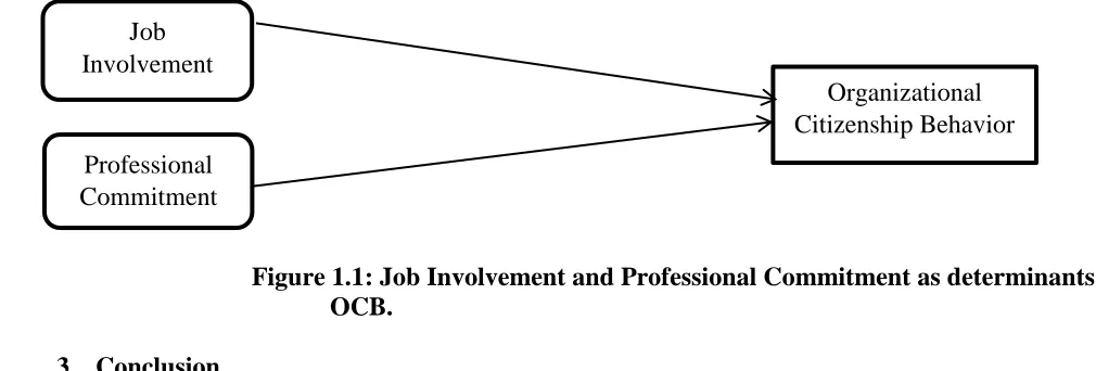 Figure 1.1: Job Involvement and Professional Commitment as determinants of OCB. 