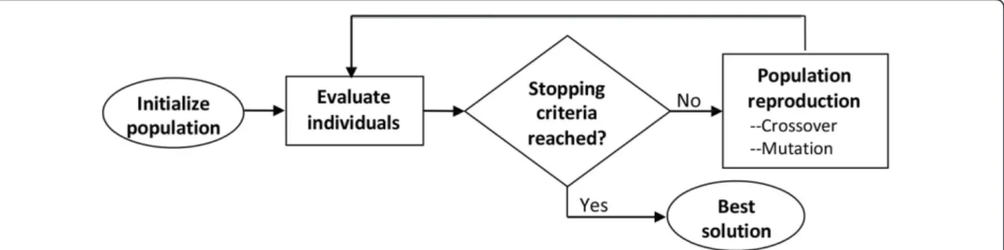 Figure 2 A diagram representing a typical GA. Each solution (individual) within a generation is evaluated until the target solution is found.