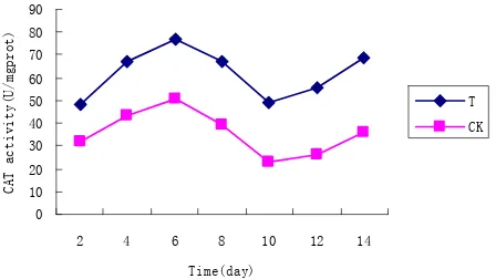 Table 3Figure 6treated by chitosan were longer ,tillers were more, kernel 