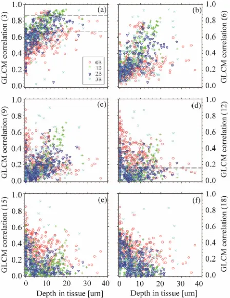 Figure 5. The values of GLCM sum enthropy (a, c, e) and GLCM average difference (b, d, f) as a function of position (depth in the tissue) of 0 B (red circles), 1 B (green crosses), 2 B (blue triangles) and 3 B (cyan crosses) nuclei of C