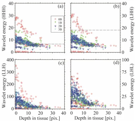 Figure 6. The values of run-length parameters of texture: short run emphasis (a, b), long run emphasis (c, d) and frac- run-length parameters were calculated in directions corre-sponding to at 0 (ACE) and 90 (BDF) degrees