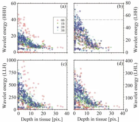 Figure 8. The values of the wavelet energy (2nd decomposi-tion level) as a function of position (depth in the tissue) of LHH (b); LLH (c) and LHL (d) sub-bands of the wavelet 0B (red symbols), 1B (green), 2B (blue) and 3B (purple) nuclei of C