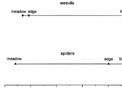 Fig. 1. Ordination of the assemblages by PCoA, based on Bray-Curtis dissimilarity. (Weevils: 77%, spiders: 83% of the total var-iance explained by the 1st axis).