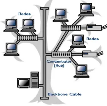 Figure 5. Mesh Topologies. 