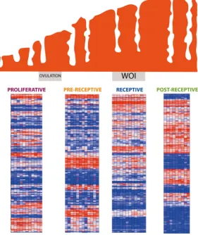 Fig. 1. Endometrial transcriptomics profile. Evolution of endometrial tissue over time and the gene expression profile at each given stage