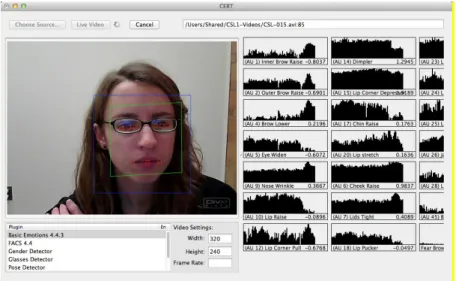 Figure 6. Screenshot of FACET program interface taken from an earlier study. 
