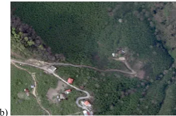 Fig. 1.  Study area. a) Map of Giresun province in Turkey. b) A sample image (R, G, B) showing hazelnut trees 