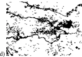 Fig. 2. Results obtained for mean shift algorithm on NDVI image and image filtering operations