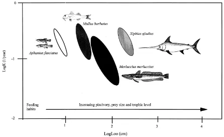 Table 3. Asymptotic surfaces Soo and center Loo, K and ϕ’ values for four fish species in the Hellenic waters