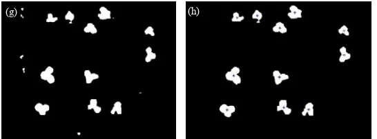 Fig. 5. Image processing protocol: (a) original photo; (b) using colour training to extract green plants from the background and get the binary image; (c) then filtering noise and filling holes of (b); (d) eroding of (c) until weeds disappeared; (e) dilati