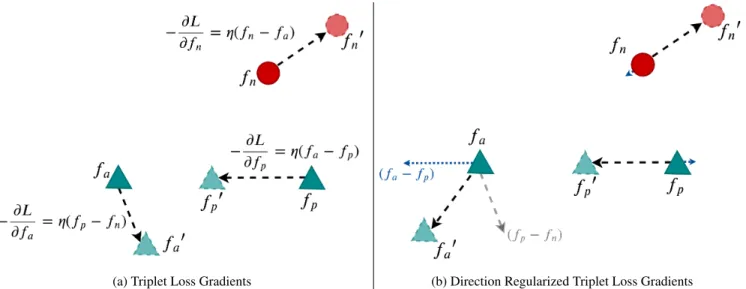Figure 2: Behaviour of the Triplet Loss based gradient update step as compared to Triplet Loss incorporated with Direction Regularization
