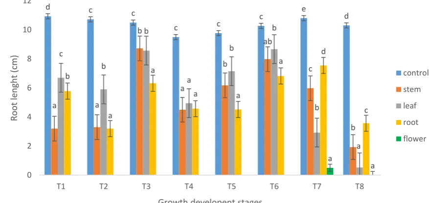 Figure 4.11. Effect of B. napus water extracts from (stem, root and leaf) collected at different times after germination (T1-T8) and flower collected at (T7 and T8) on the root length (cm) of Sorghum halepense 14 days after sowing