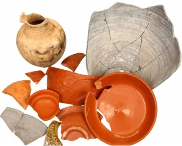 Fig. 9: Finds from the refuse pit (photograph: Péter Komjáthy)