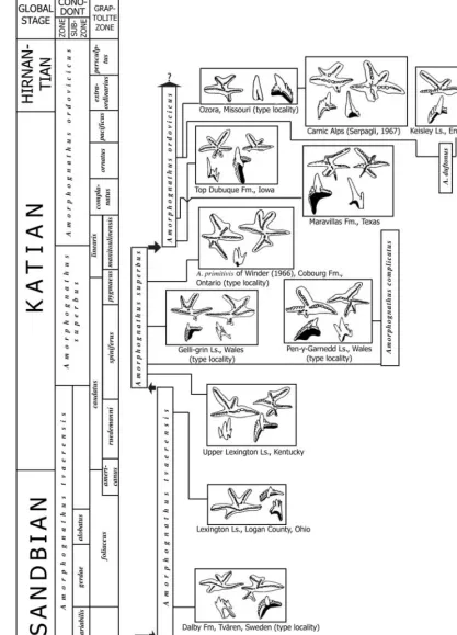 Fig. 5. Schematic chart showing our interpretation of the evolution of theof the various species are illustrated