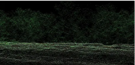 Fig. 2.  Point cloud shows different types of vegetation, grassland, bushes, and trees 