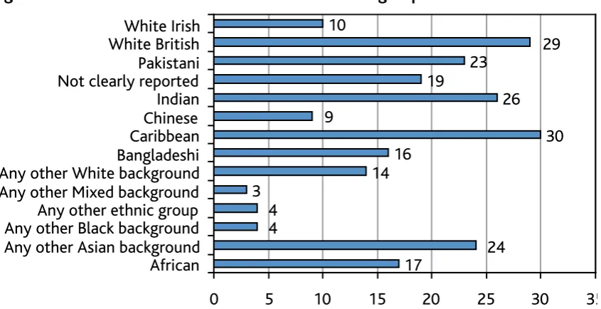 Figure 3: Number of studies that refer to each ethnic group 