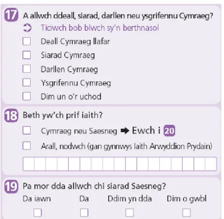 Figure 1.3: Final recommended Welsh language version of language questions for Wales 