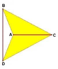Figure 3 The arrowhead 