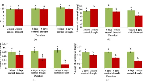 Figure 1. Changes of root growth (a), chlorophyll (b), lycopene (c), and carotenoids (d) content of cv
