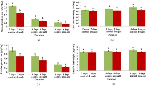 Figure 2. Changes of photosynthetic rate (a), leaf mass ratio (b), relative growth rate (c) and specific leaf weight (d) of cv