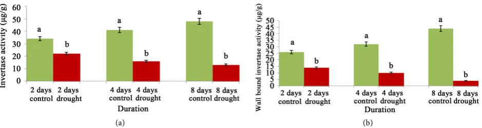 Figure 4. Changes of soluble invertase (a) and wall bound invertase (b) activity of cv
