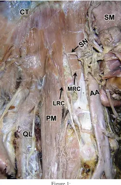 Figure 1: Figure 2: 