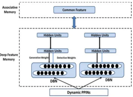 Figure 1. Deep Learning based Protein Function Detection 