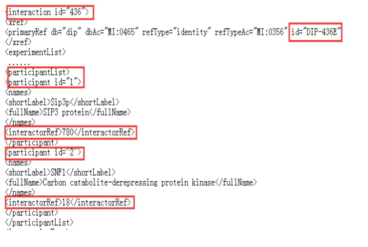 Figure 4. Xml Format of Protein Interaction 